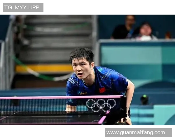 北京乒乓球队技术分析与发展探讨聚焦乒乓球运动的未来趋势与挑战